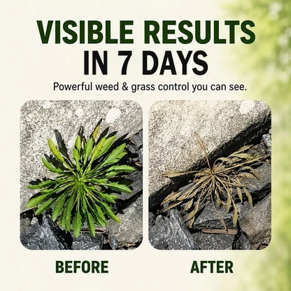 🔥 2026 SUMMER SALE · Zeooez Grass Killer Spray