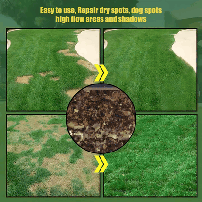 2026 Evergreen Dwarf 7-DAY SPROUT50% OFFGrass Seed for Four Seasons| Durable, VibrantGreen All Year (No Mowing Required)