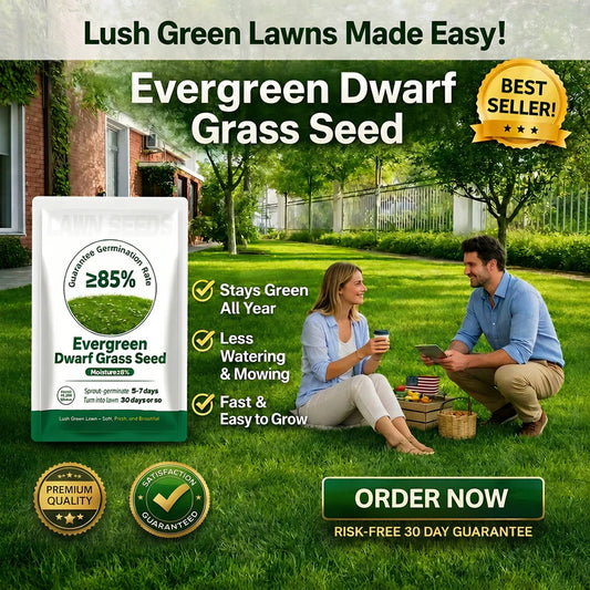 2026 Evergreen Dwarf 7-DAY SPROUT50% OFFGrass Seed for Four Seasons| Durable, VibrantGreen All Year (No Mowing Required)